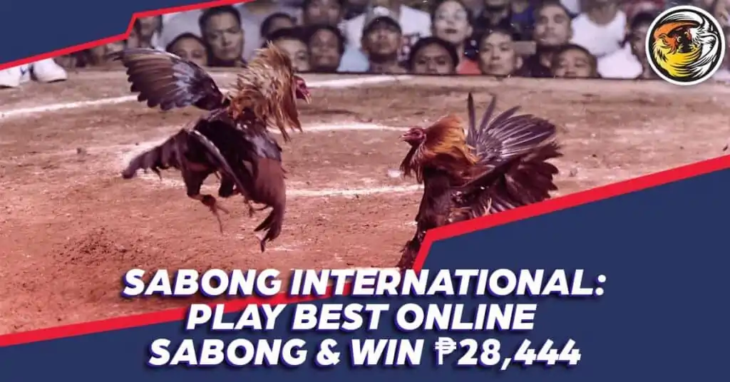 play sabong and win