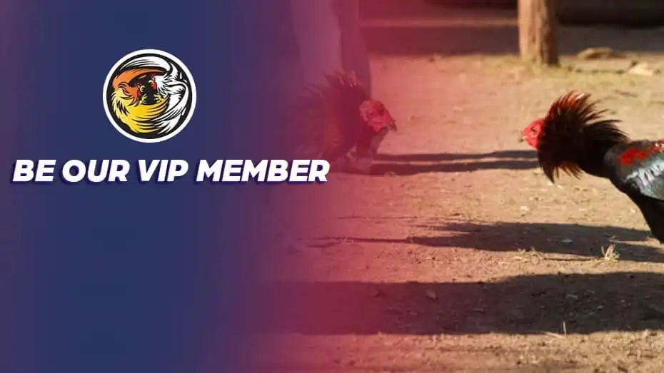 VIP member